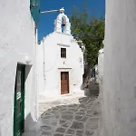 Anemomylosrooms2